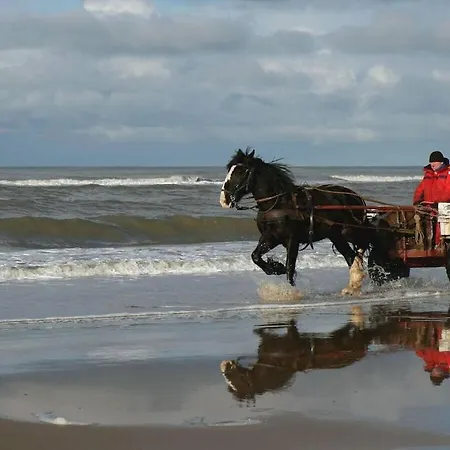 Aan Zee * 海边的艾格蒙特