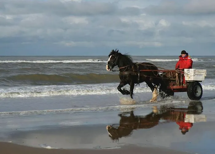 Aan Zee * Эгмонд-ан-Зее